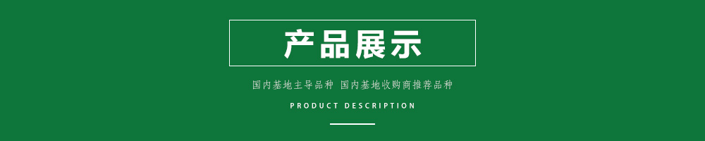 1557812276809737.jpg 00新產(chǎn)品.jpg
