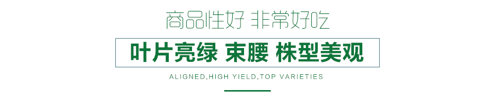 1557821512308960.jpg 詳情頁12.jpg