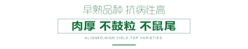 1557993311432351.jpg 詳情頁23.jpg