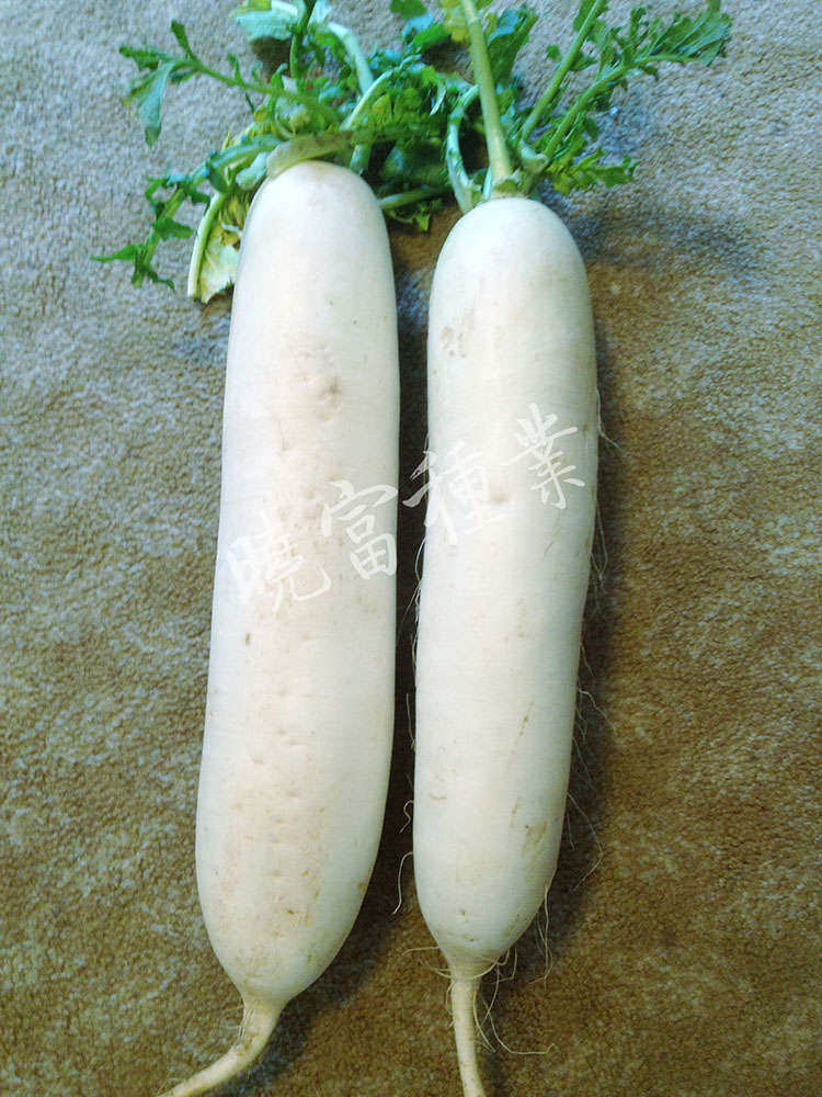 1585789368905890.jpg 04.jpg